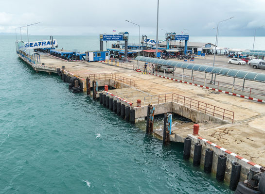 Kwaliteit Marien D-Type Rubberstootkussen Gemakkelijk om Sterke Duurzame Beschikbare Douanegrootte te installeren fabriek