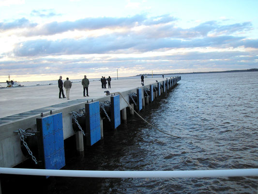 Kwaliteit Kegeltype Marine Ship Rubber Fender Pad, het Rubberstootkussen van de Kegelboot fabriek
