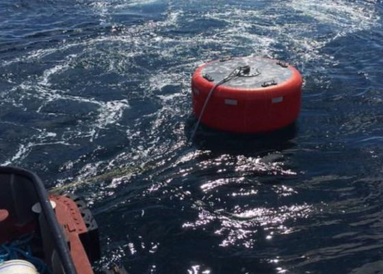 Kwaliteit De lassende het Onderscheppen Boeien van de Meertros Zeescheepvaart fabriek