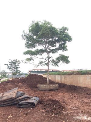 Kwaliteit Marine Rubber Ship Launching Airbags-Droogdok Lancerings Opheffend Schip fabriek