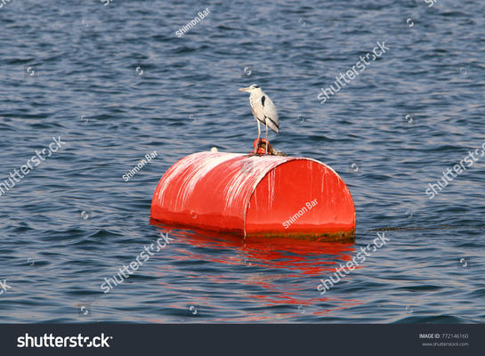 Kwaliteit Staal Enig Boot het Drijven Surplus Multifunctionele Marine Mooring Buoy Foam Filled fabriek