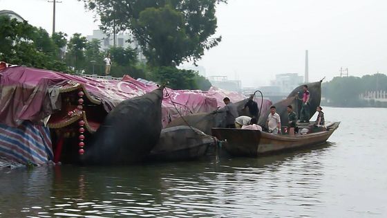 Kwaliteit Marine Inflatable Boat Hydro Pneumatic-Stootkussen van de Stootkussen het Rubber Drijvende Boot fabriek